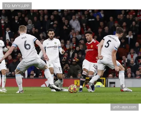 本菲卡强势崛起，整体实力显著提升，剑指本赛季顶级荣誉