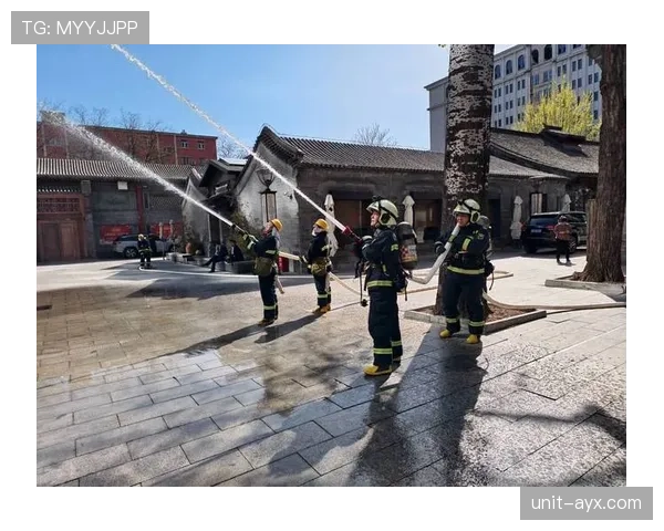 特温防线稳定措施显成效，专家展望未来防御新趋势