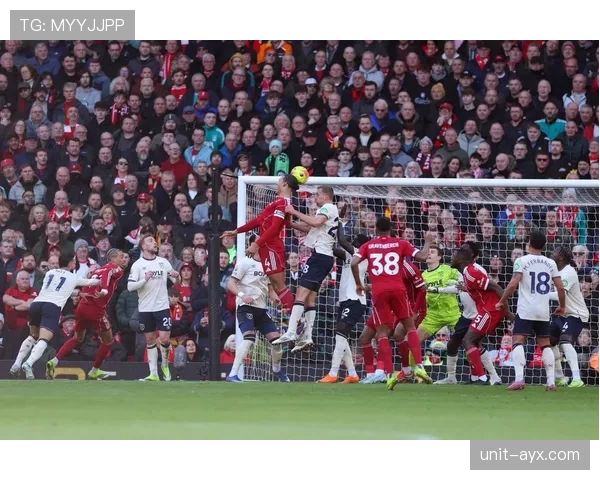英超西汉姆利物浦 英超西汉姆利物浦