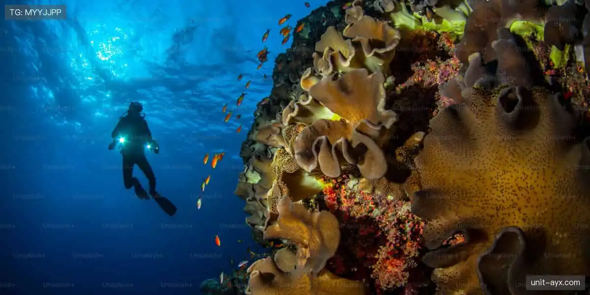 🏀独家直播，错过再等一年！📺